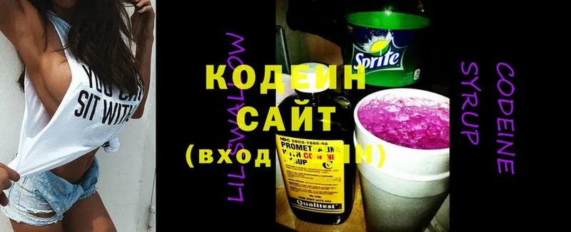 продажа наркотиков  Камышлов  Кодеин Purple Drank 